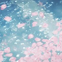 Your Local Safe Place Discord Server Logo