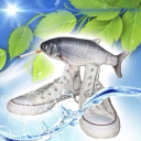 aquaria Discord Server Logo
