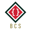 BCS - Bangladesh Competitive Programming Society Discord Server Logo