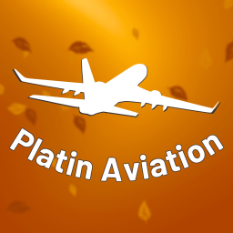 Platin Aviation Discord Server Logo