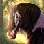 Lake County Stables Discord Server Logo
