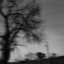 zyntuex Discord Server Logo