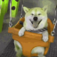 DiscordGift.site Discord Server Logo