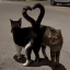 lil kittens Discord Server Logo