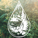 alexrainbirdMusic Discord Server Logo