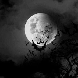 Bat Haven Discord Server Logo