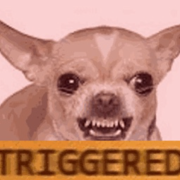 DankMemer's Thieves Hideout Discord Server Logo