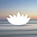 FlyKutos Discord Server Logo