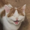 Roblox Hangout™ Discord Server Logo