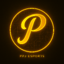 PPJ ESPORTS 🇮🇳 Discord Server Logo