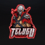 TELUGU GAMING FF Discord Server Logo
