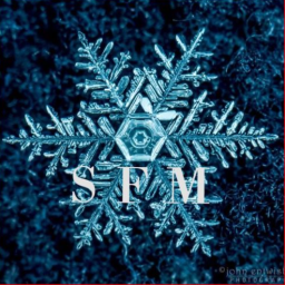 Snow Flake Memers Discord Server Logo