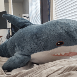 Lord Ray's Stupid Server Discord Server Logo