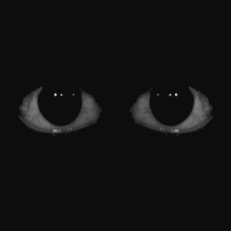 AMIG Community Discord Server Logo