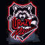 CR Community server Discord Server Logo
