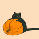 Cat Community Discord Server Logo