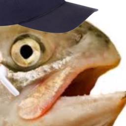 Aquarium de Grimkujow Discord Server Logo