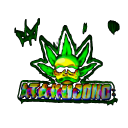 🌿 𝐙𝐢𝐞𝐥𝐚𝐫𝐧𝐢𝐚 💚 Discord Server Logo