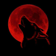 MoonWolf Discord Server Logo
