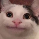 BeluGANG Discord Server Logo