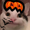 BeluGANG Discord Server Logo