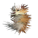 chomiki Discord Server Logo