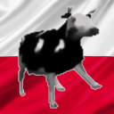 Polish Community Discord Server Logo