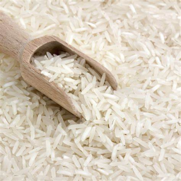 rice Discord Server Logo