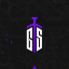 GS Team Discord Server Logo