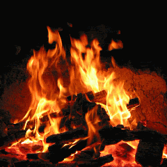 ɮօռʄɨʀɛ Discord Server Logo