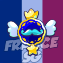 © France Stumble Guys 🇫🇷 Discord Server Logo