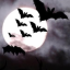 Nocturnal Discord Server Logo