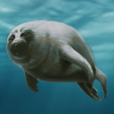 The Seal Gang Discord Server Logo