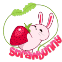 🍓BINGUS NATION🍓 Discord Server Logo