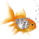 JJFish Land Discord Server Logo
