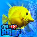 🐬Sea parrot🐬 Discord Server Logo