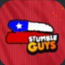 🇨🇱 Seleccion Chilena Discord Server Logo