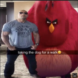 Roden Discord Server Logo