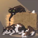 Warrior Cats! Discord Server Logo