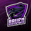 Raven Squad Discord Server Logo
