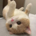 Cat Lounge 🍹 Discord Server Logo