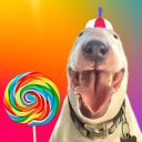 Mister Mainer (Pookie’s Server) Discord Server Logo