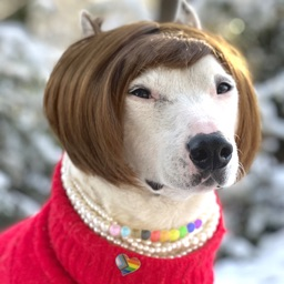 MisterMainer Discord Server Logo