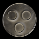 Swedish House Mafia Discord Server Logo