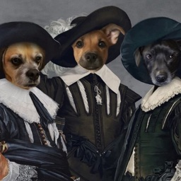 The Musketeers Discord Server Logo