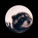 kiwicookington Discord Server Logo