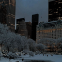 r/Narwhalz Mini Discord Server Logo