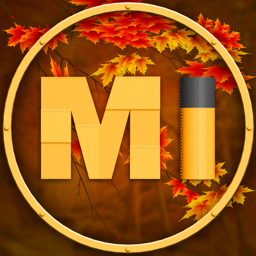 Maritime Interactive Discord Server Logo