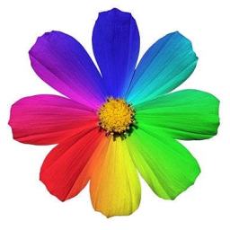 Girls Discord Server Logo