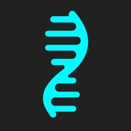 Codename Discord Server Logo